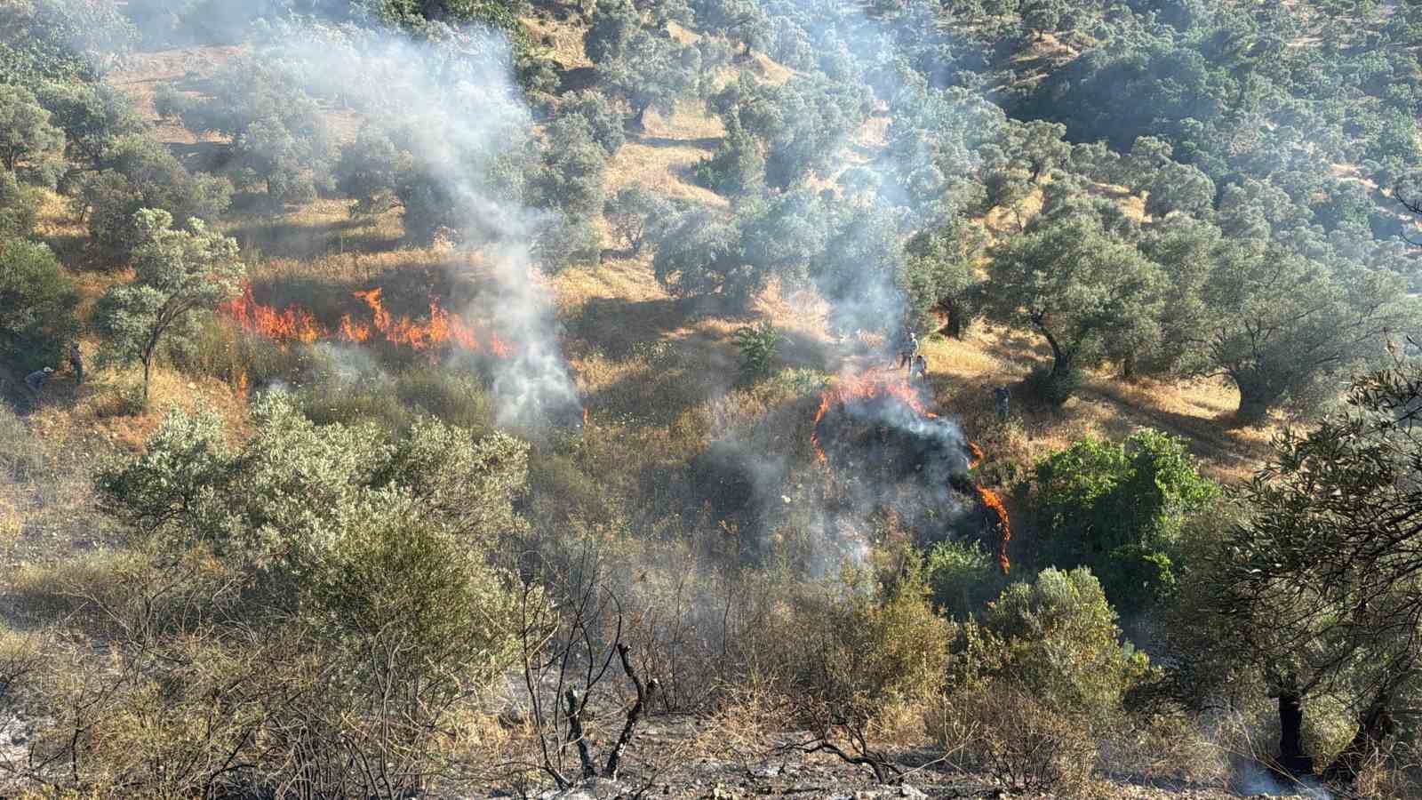 Aydın&rsquo;da zirai alanda yangın &ccedil;ıktı
