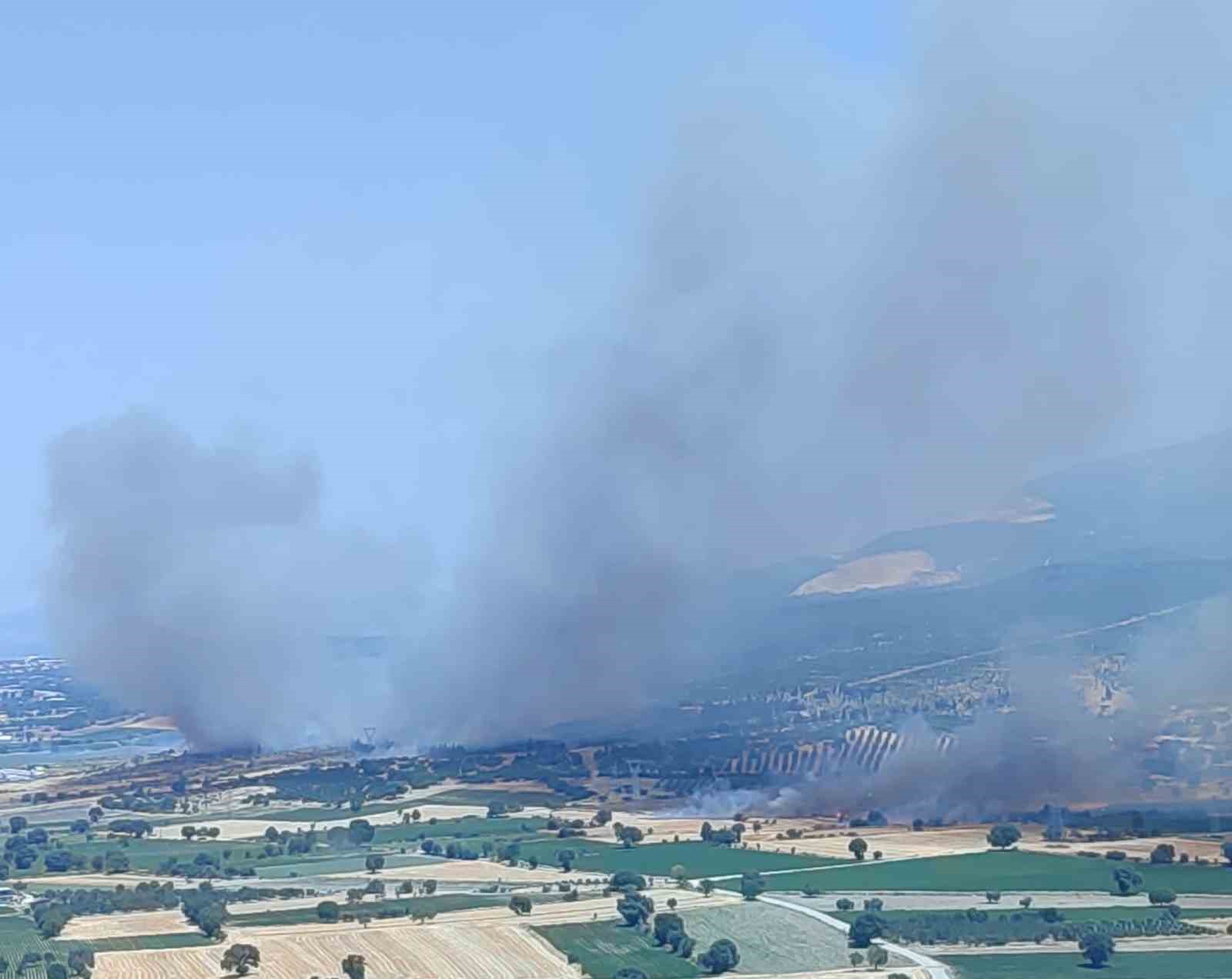 İzmir’de ormanlık alanda çıkan yangın kontrol altında