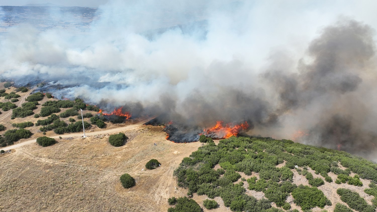 Kula’daki orman yangını kontrol altında