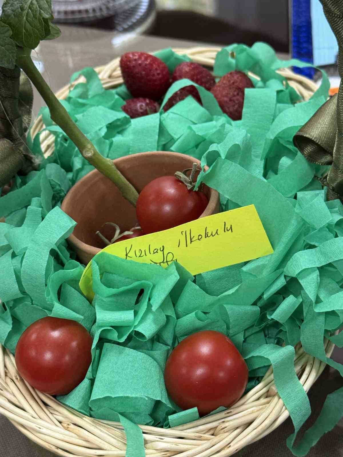 Minik &ccedil;ift&ccedil;iler ilk hasatlarını yaptı
