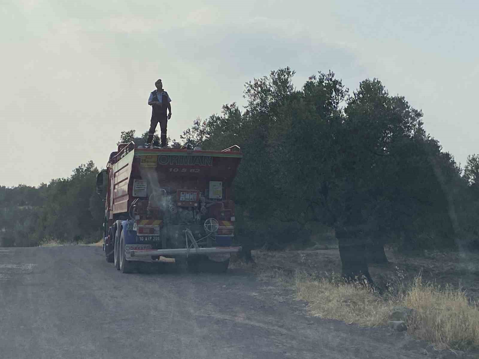 Ayvalık’ta zeytinlik alanda çıkan yangın kontrol altına alındı