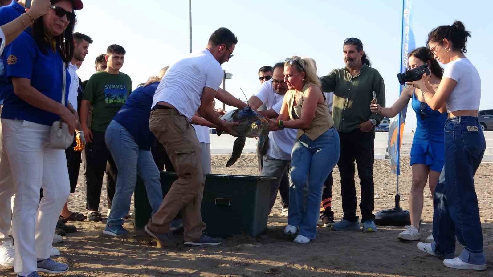 Uydu cihazı takılan kaplumbağa ’Atlas’ denize bırakıldı