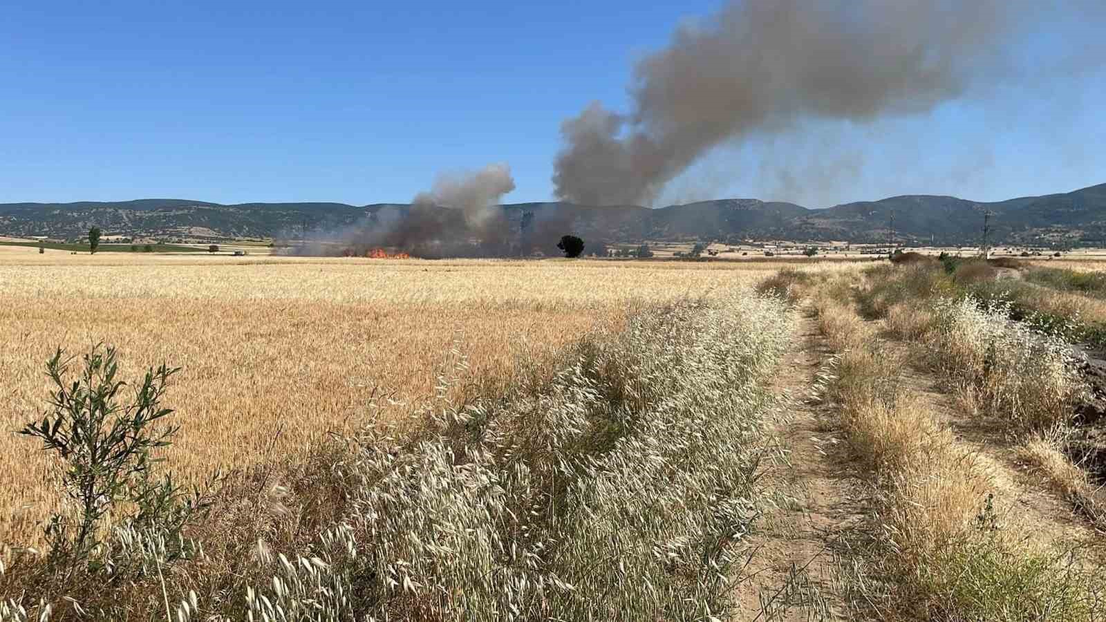 Yozgat’ta 20 dönüm ekili alan kül oldu