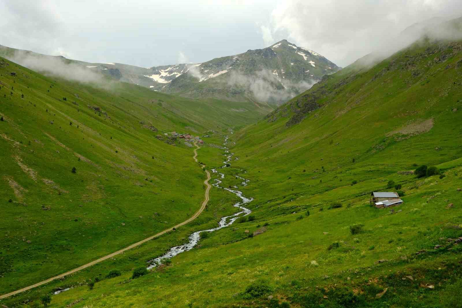 Alpleri andıran manzarasıyla Dulağa Yaylası büyülüyor
