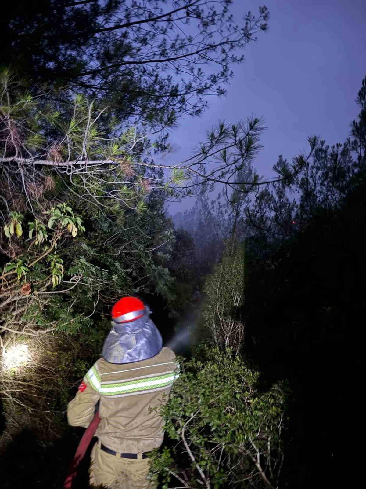 Adana Kozan’da orman yangını büyümeden söndürüldü
