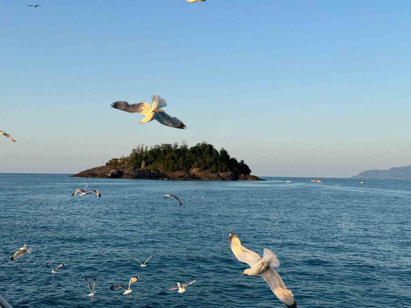 Giresun Adası’nda turizm sezonu başladı
