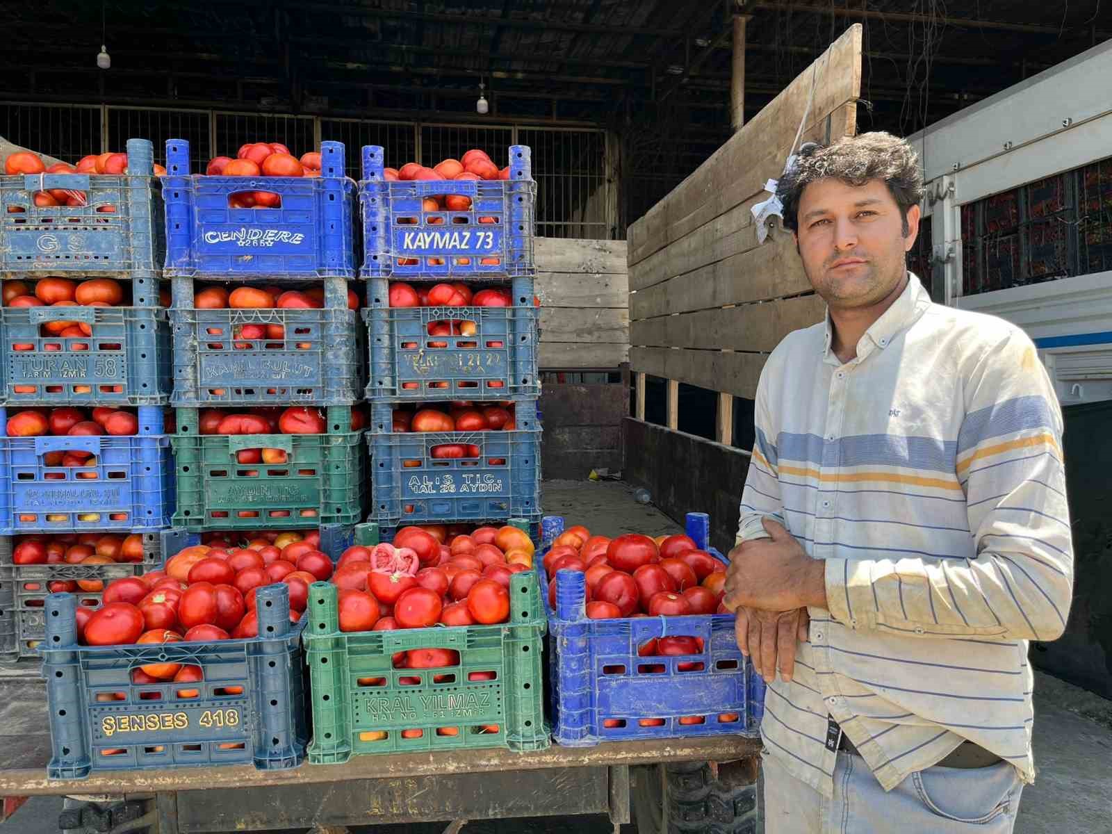 Yerli domates çıktı