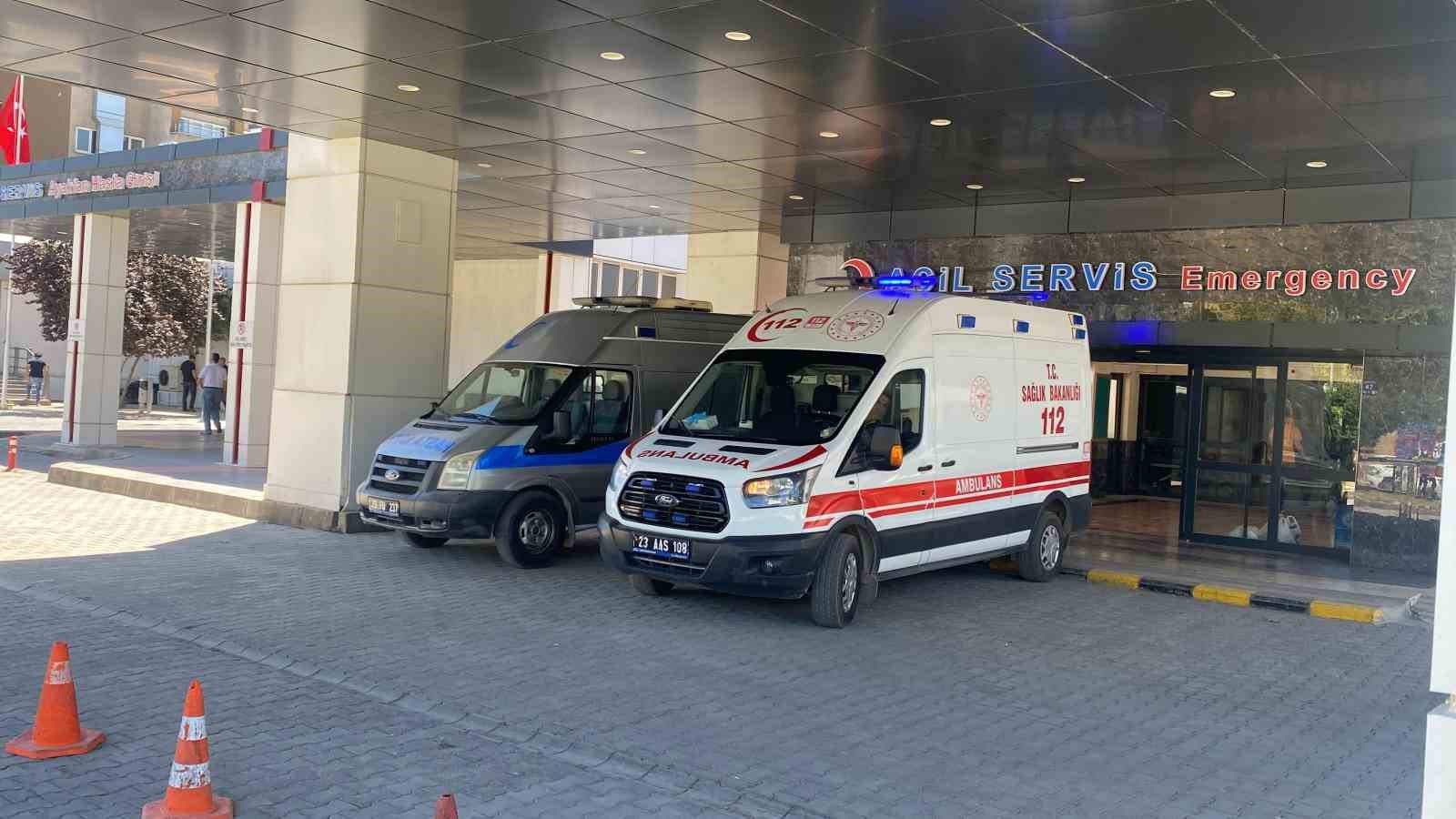 Ahırda süt sağan kadını kene ısırdı