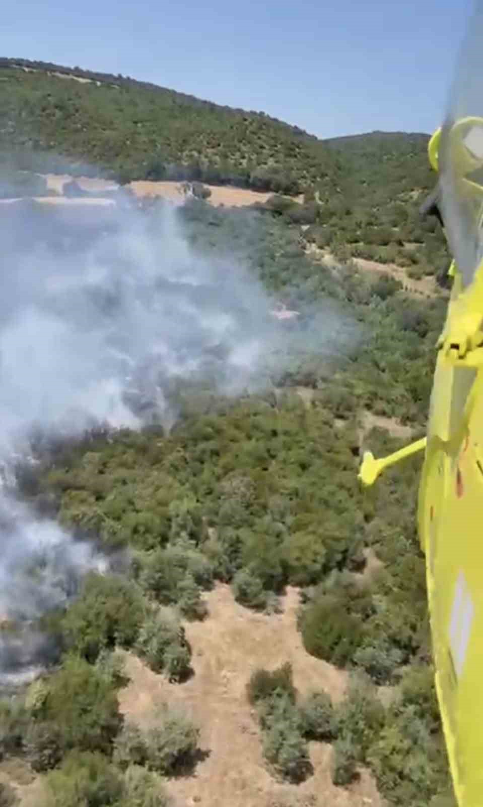 İvrindi’de orman yangını