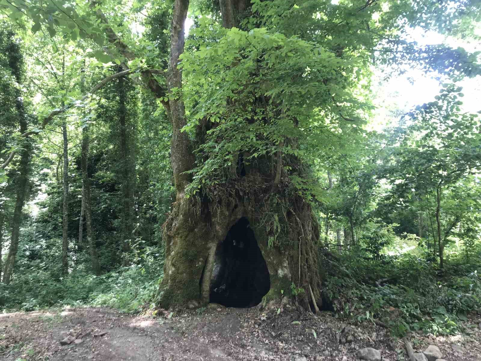 Tesad&uuml;fen bulundu, bir ili heyecan sardı
