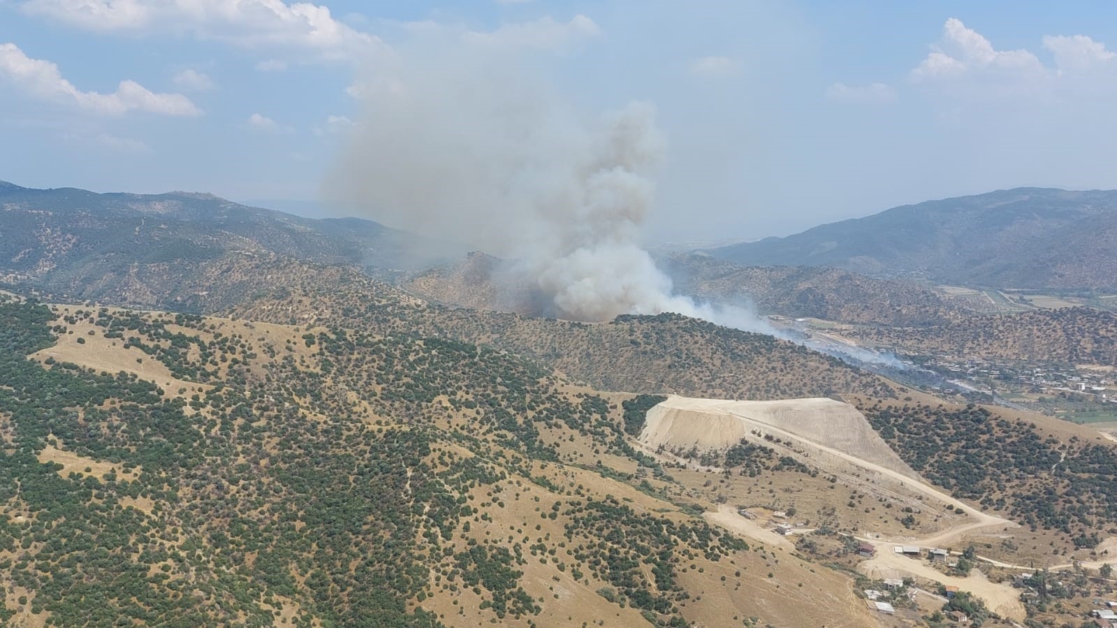 Aydın&rsquo;da zirai alan yangını
