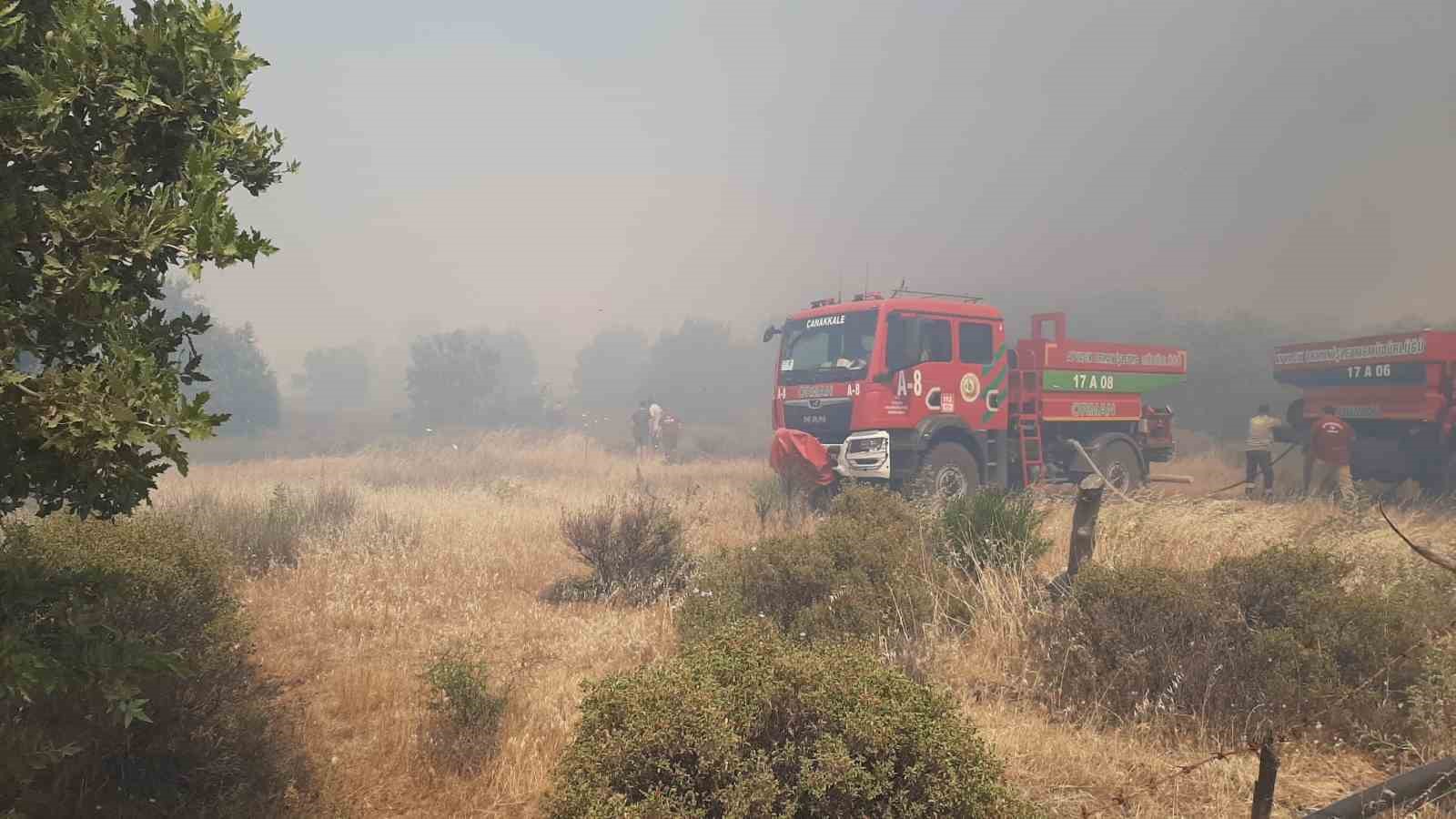 Çanakkale’de tarım arazisinde yangın