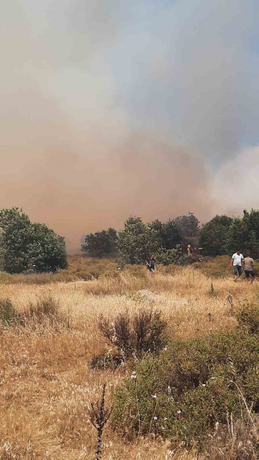 &Ccedil;anakkale&rsquo;de tarım arazisinde yangın
