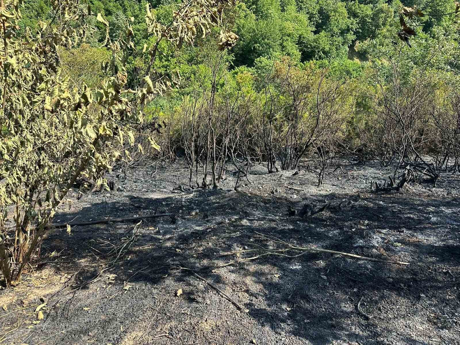 Tarla temizliğinden yangın çıktı