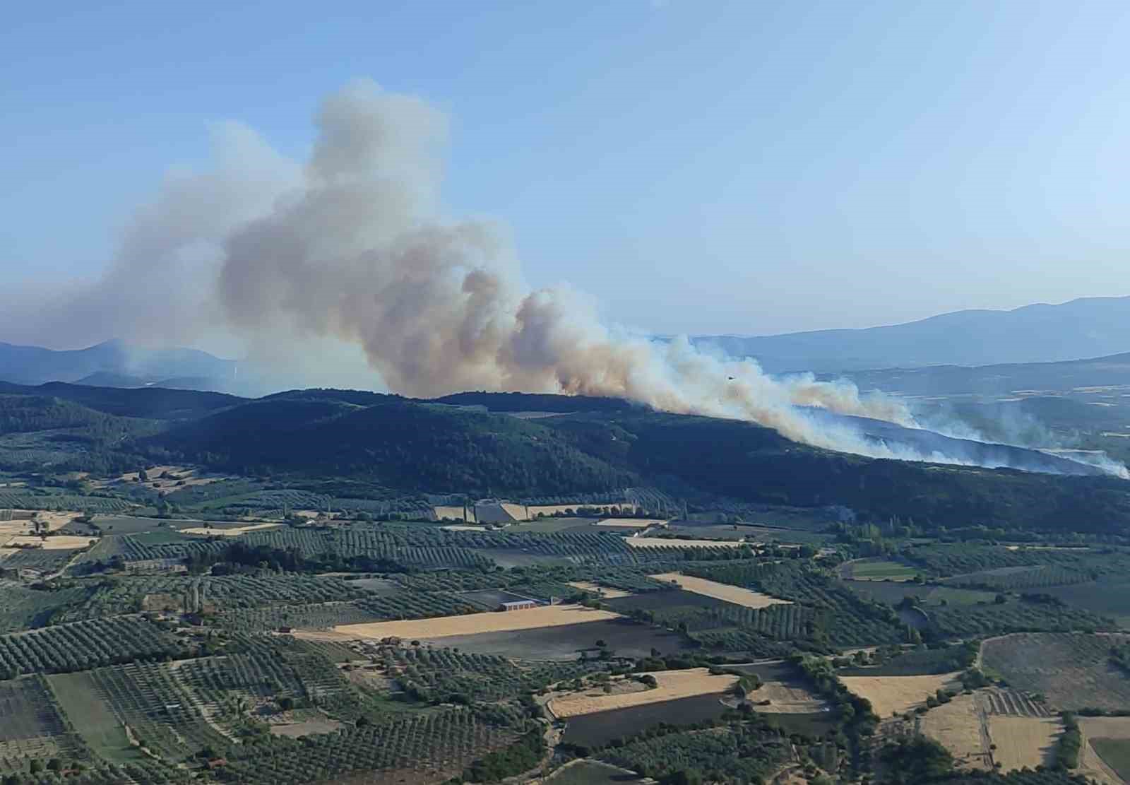 Manisa Kırkağaç’ta orman yangını: Havadan ve karadan müdahale sürüyor