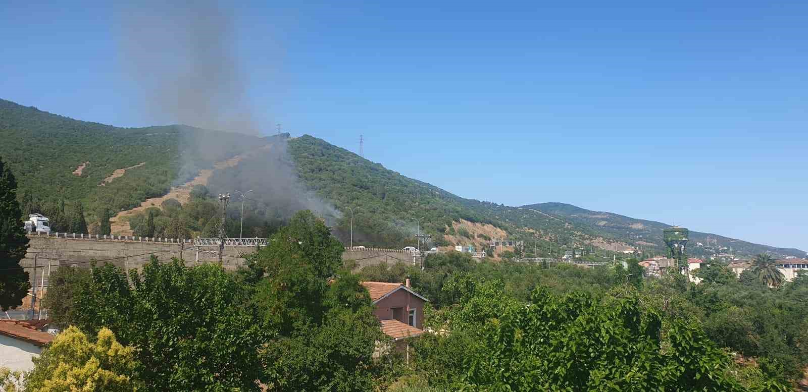 TEM Otoyolu kenarında başlayan yangın ormana sıçradı: 2 saatte söndürüldü