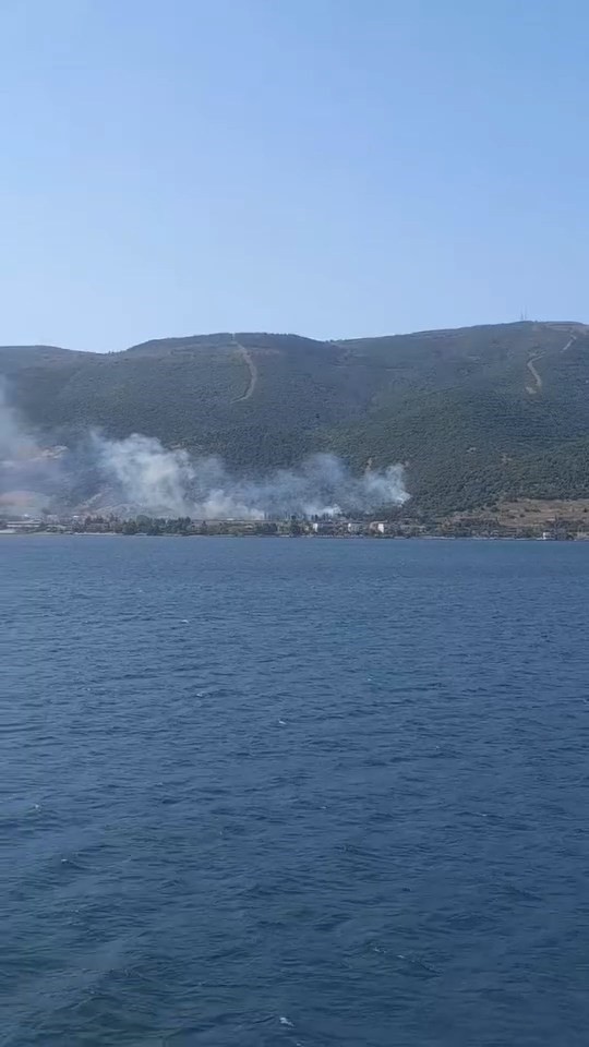 TEM Otoyolu kenarında başlayan yangın ormana sıçradı: 2 saatte söndürüldü
