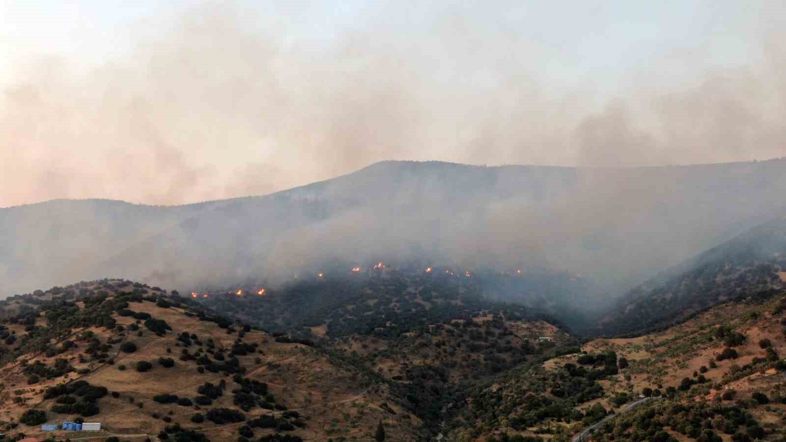 Aydın Efeler’deki yangına ekiplerin müdahalesi sürüyor