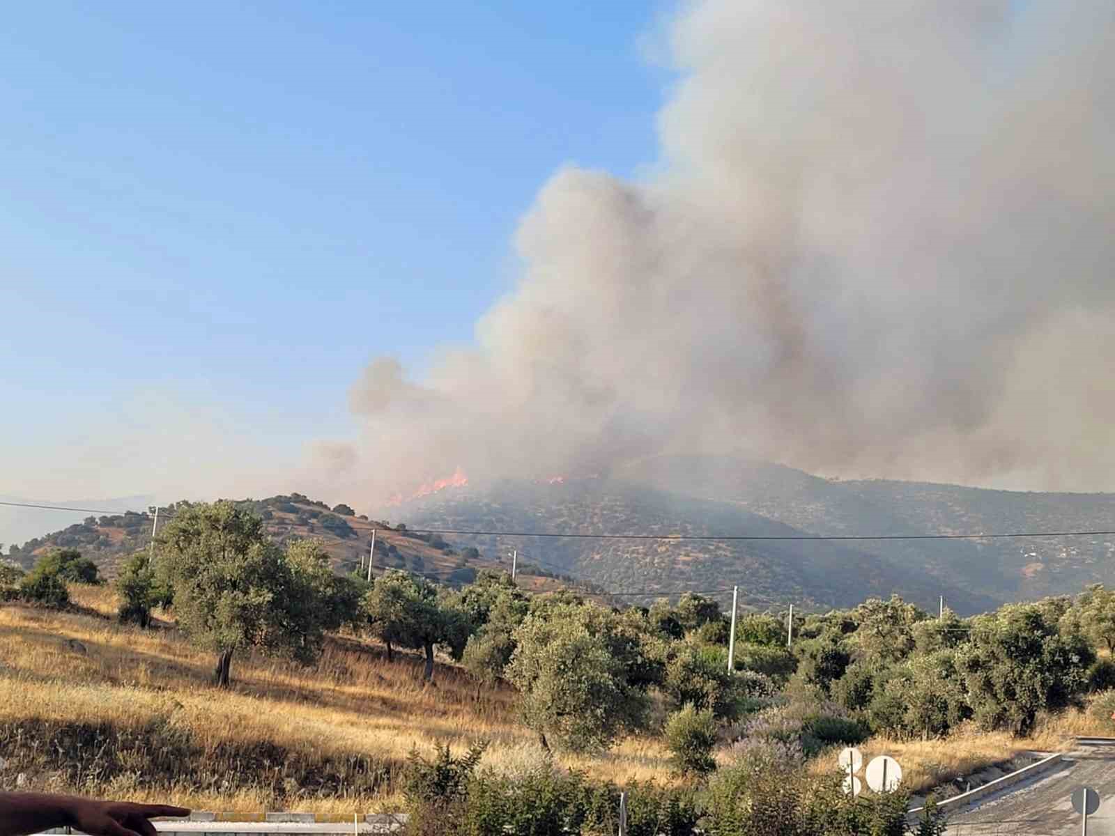 Aydın Efeler&rsquo;deki yangına ekiplerin m&uuml;dahalesi s&uuml;r&uuml;yor

