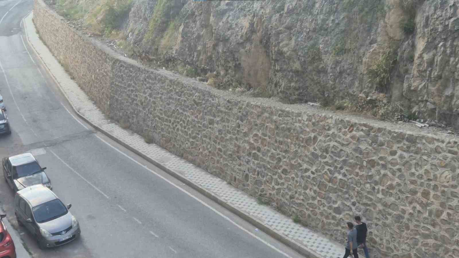 Gümüşhane dağlarının süsü yaban keçileri şehrin de süsü oldu