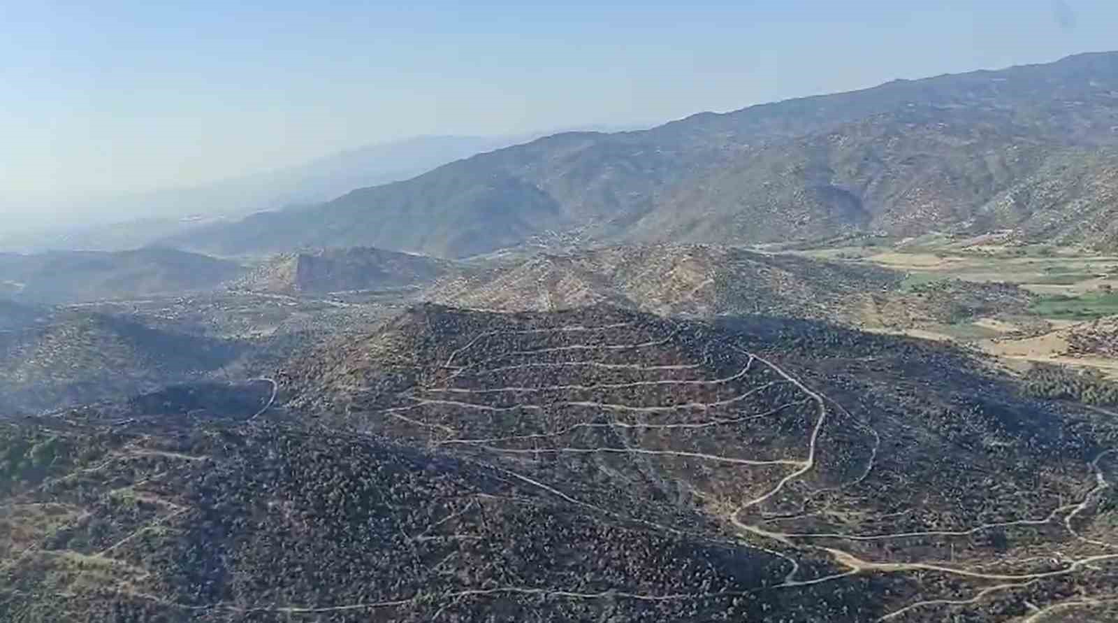 Aydın’daki yangın kontrol altına alındı