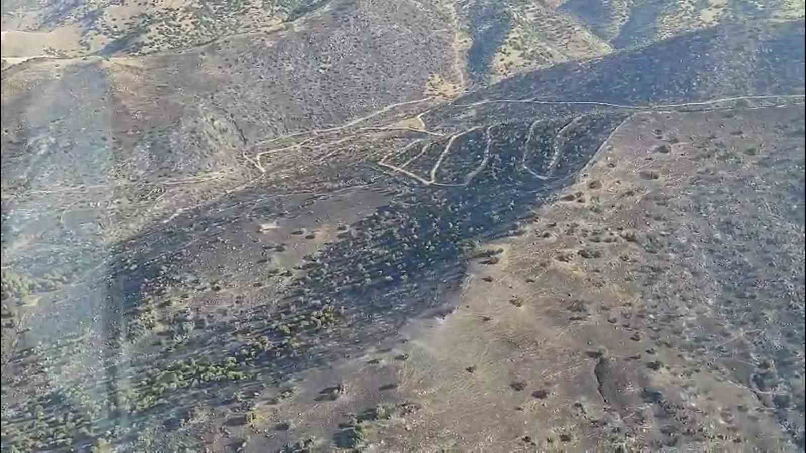 Aydın&rsquo;daki yangın kontrol altına alındı
