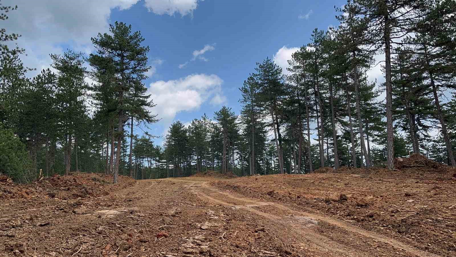 Kastamonu’da ormanları yangınlardan korumak için emniyet yolu çalışmaları sürüyor
