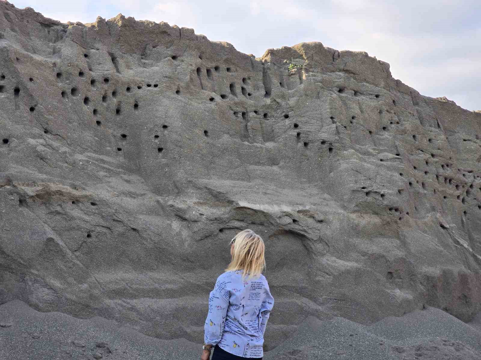 Tokat’ta kuşların kumda kurduğu site doğaseverleri mest ediyor