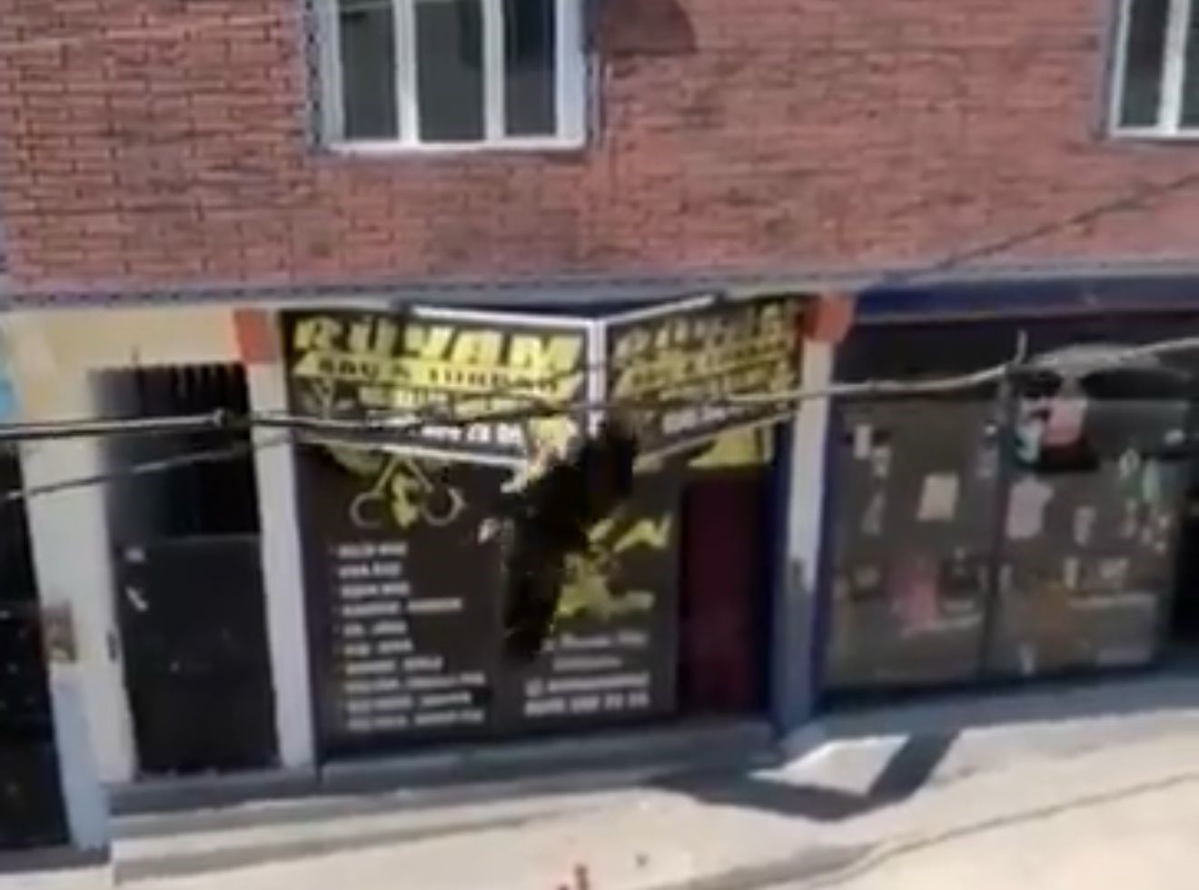 Tele takılan kuşu itfaiye kurtardı