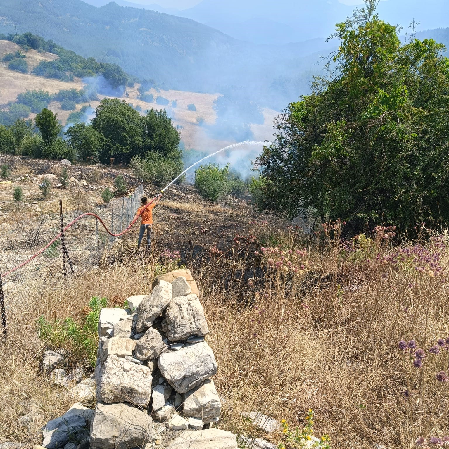 Antalya’da ormanlık alanı tehdit eden yangına müdahale ediliyor