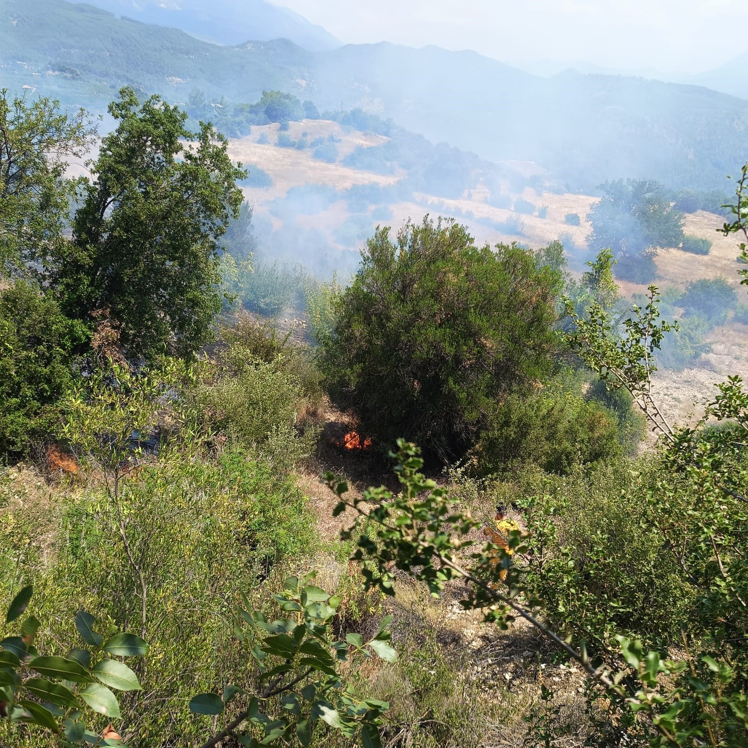 Antalya’da ormanı tehdit eden yangın kontrol altına alındı