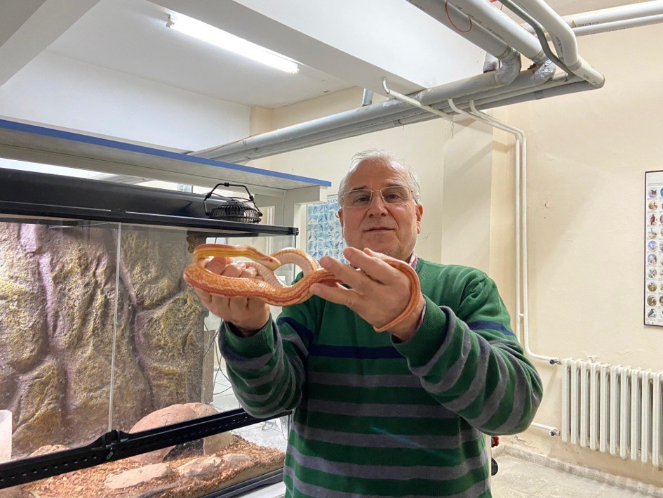 Yılan Müzesi, 185 sürüngen türüyle eğitim ve araştırma merkezine dönüştü