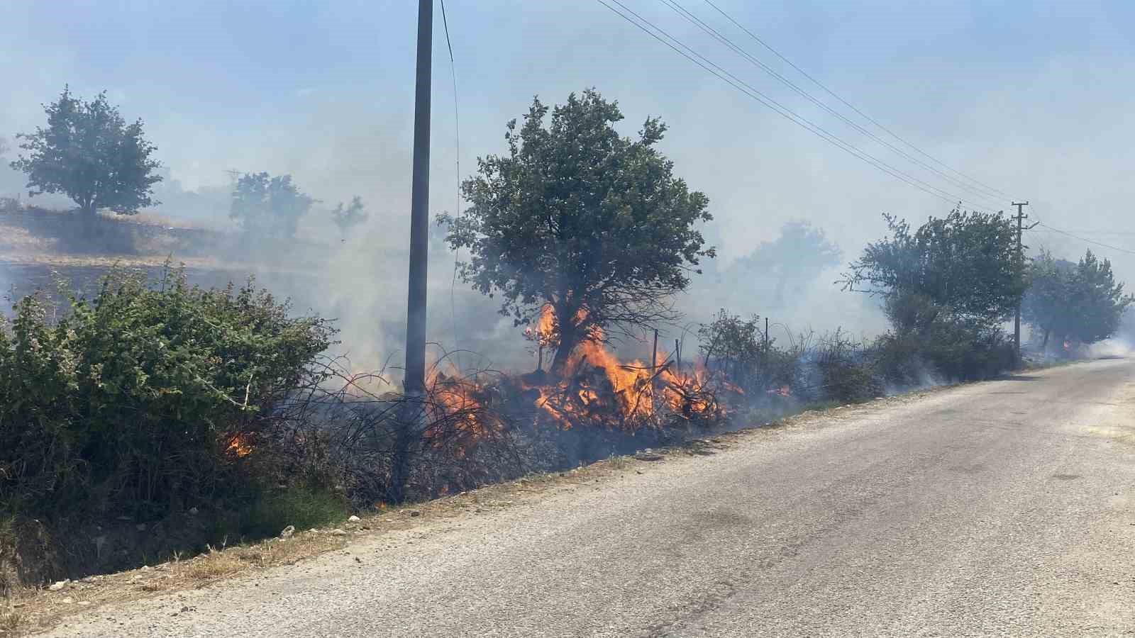 Çanakkale’deki orman yangınında köye ulaşan alevler karşısında jandarma ve köylüler seferber oldu

