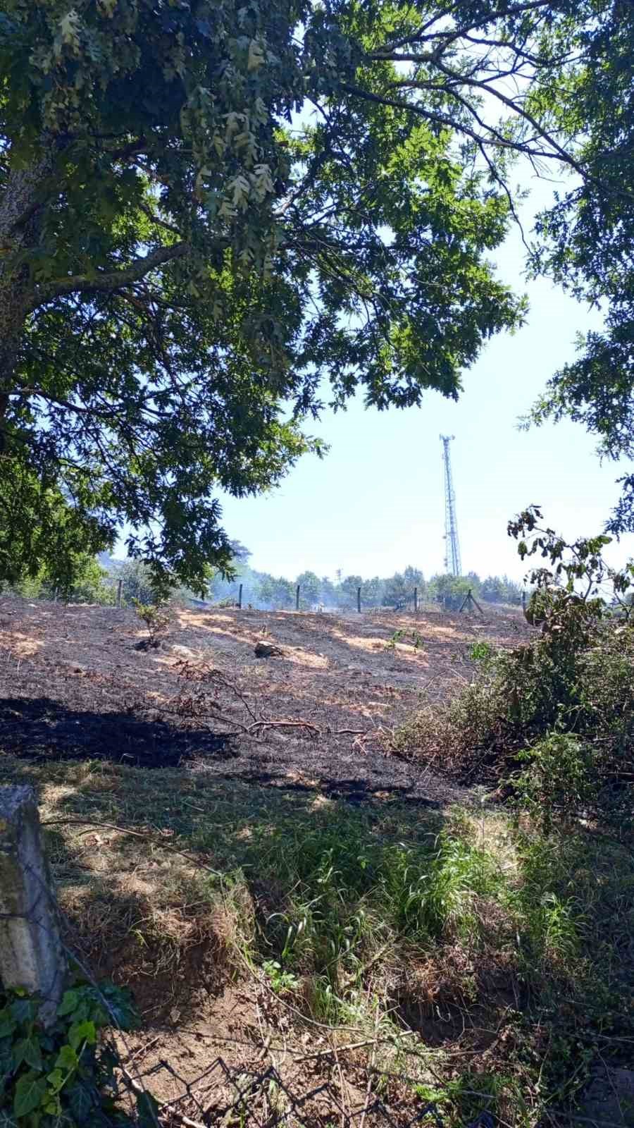 Dağyenice&rsquo;de 25 d&ouml;n&uuml;m k&uuml;le d&ouml;nd&uuml;
