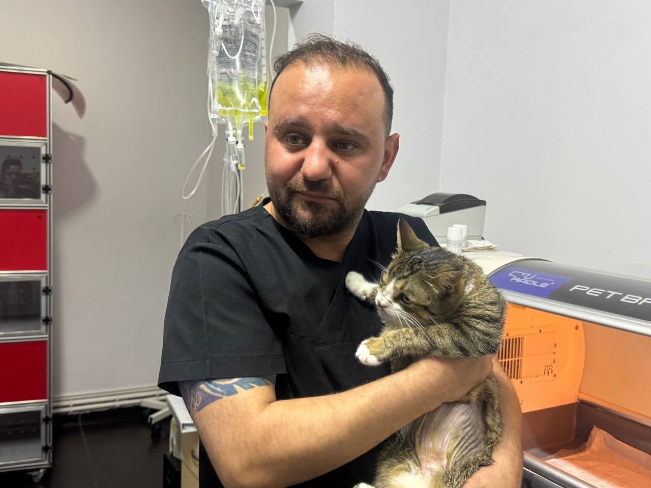 Kedinin mesanesinden 2 santimlik taş &ccedil;ıkarıldı
