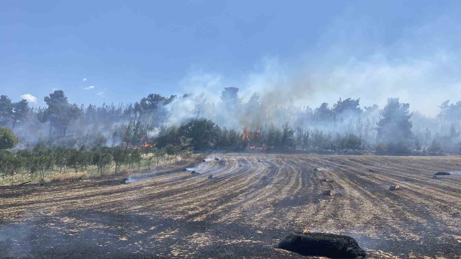 Çanakkale’deki orman yangını kontrol altına alındı