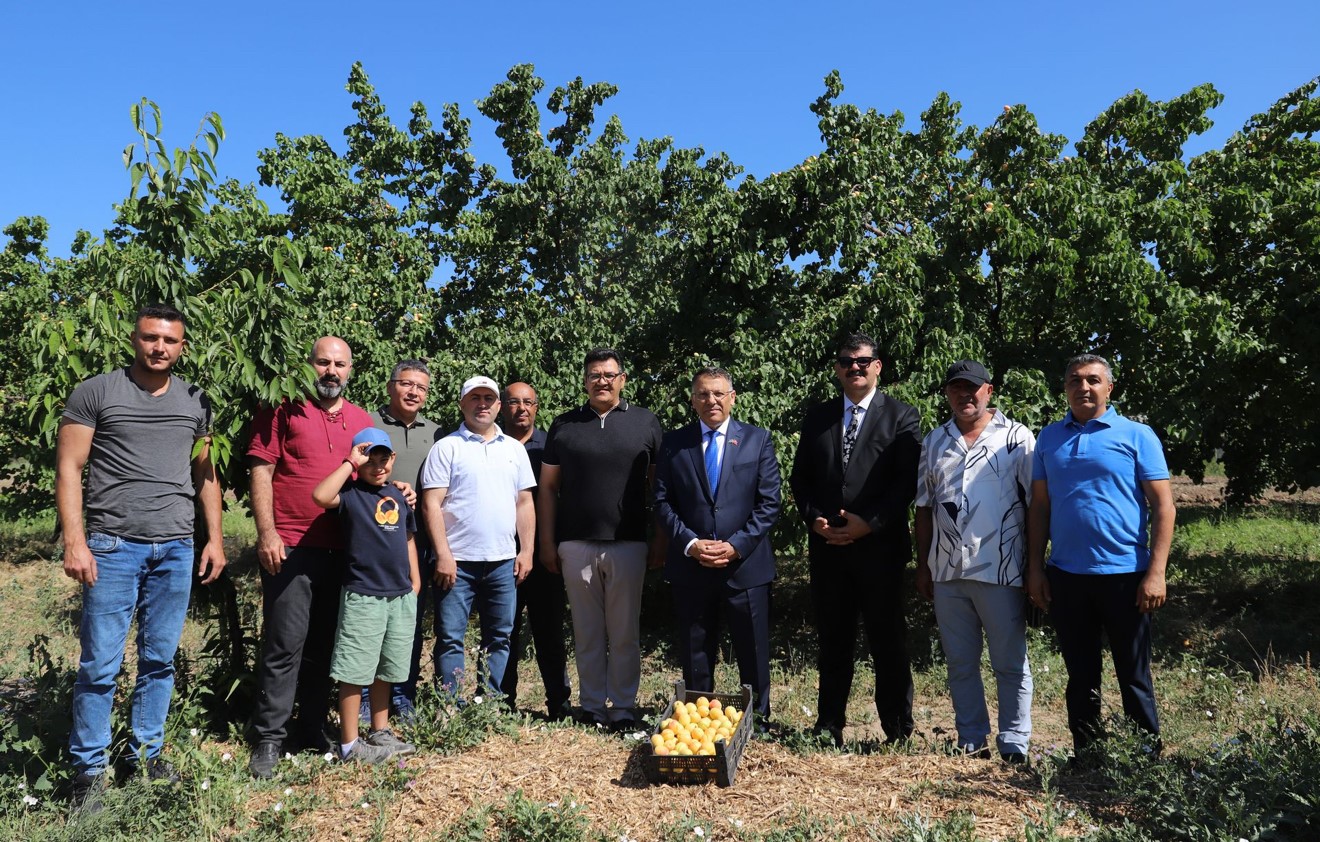 Iğdır Üniversitesi uygulama bahçesinde "Kayısı Hasadı Etkinliği" düzenlendi