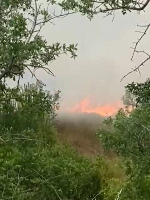 Karabük’te anız yangını büyümeden söndürüldü