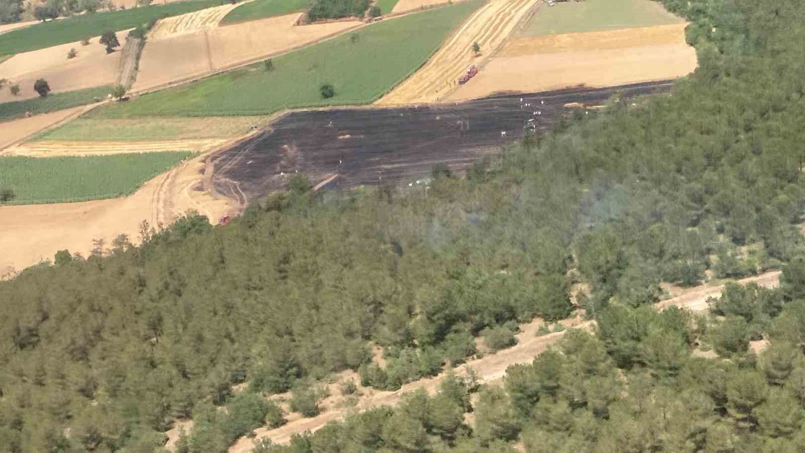 30 dönümlük buğday tarlası küle döndü
