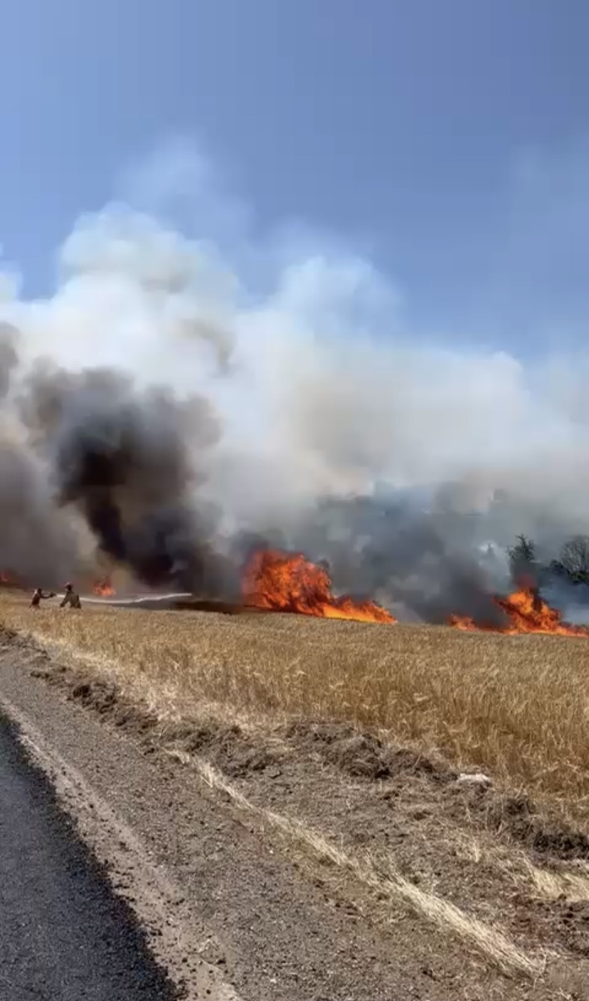 Çanakkale’de tarım arazisinde yangın çıktı