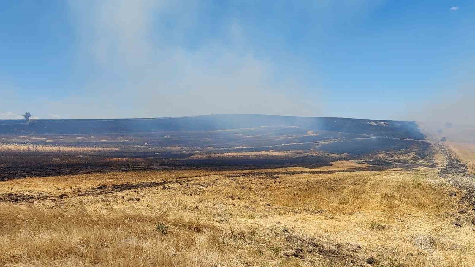 10 bin d&ouml;n&uuml;ml&uuml;k arazi alevlere teslim oldu
