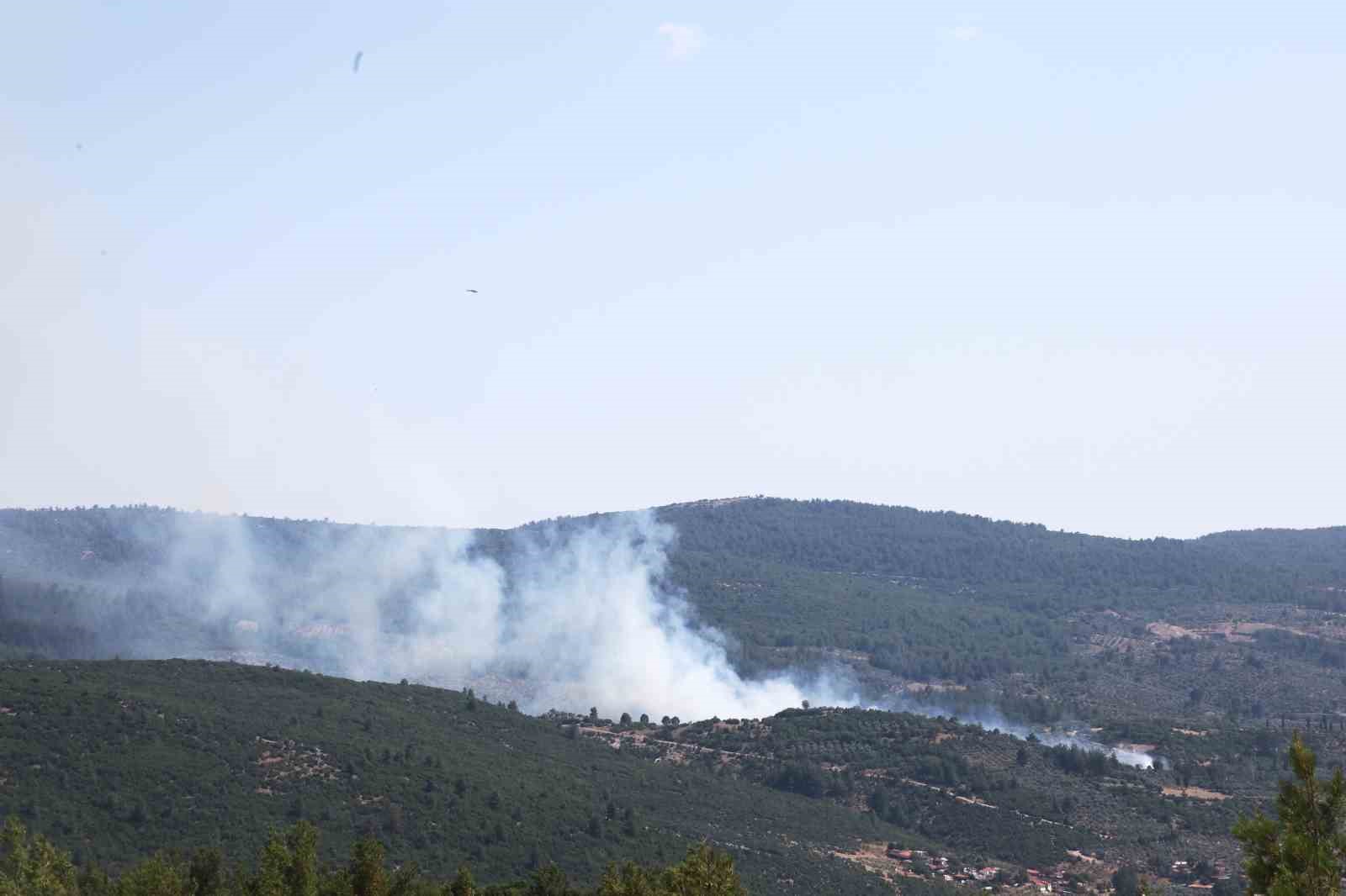 Menteşe’de orman yangını başladı