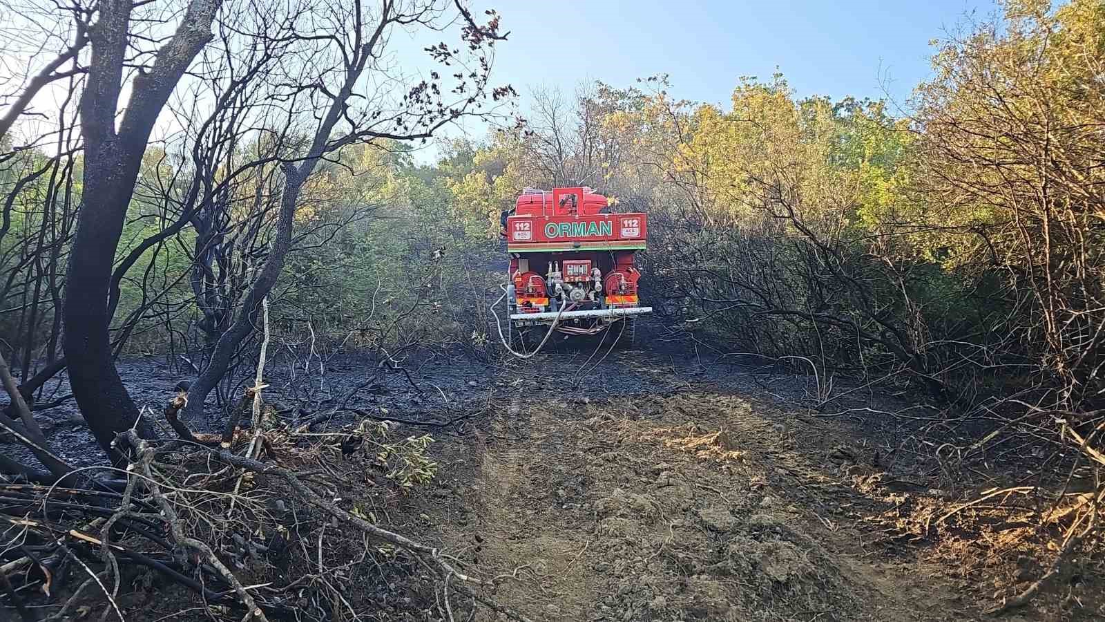 Bursa’da ormanlık alanda çıkan yangın kontrol altına alındı