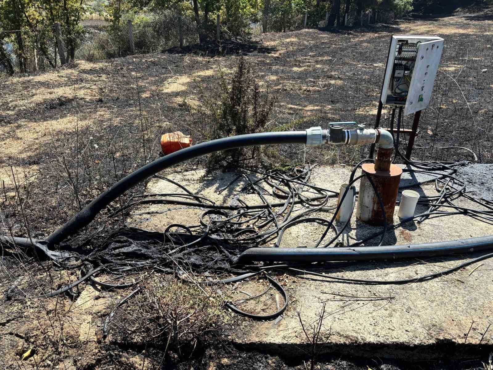 Çanakkale ve Biga’daki yangınlarla ilgili 3 kişi hakkında adli işlem yapıldı
