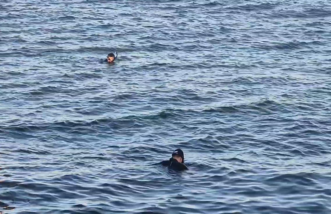 Avcılar’da denizde ceset ihbarı asılsız çıktı