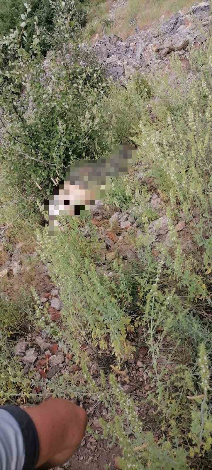 Ot toplamak i&ccedil;in antik kente &ccedil;ıkan kadın kayalıklardan d&uuml;şerek hayatını kaybetti
