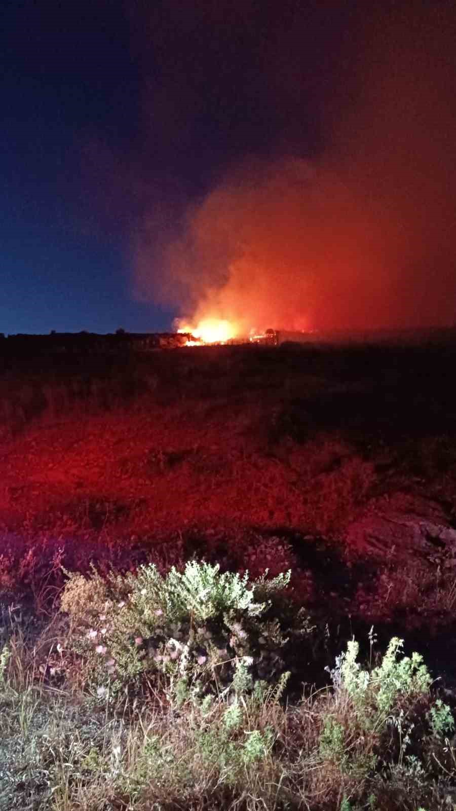 Menemen&rsquo;de makilik alanda yangın
