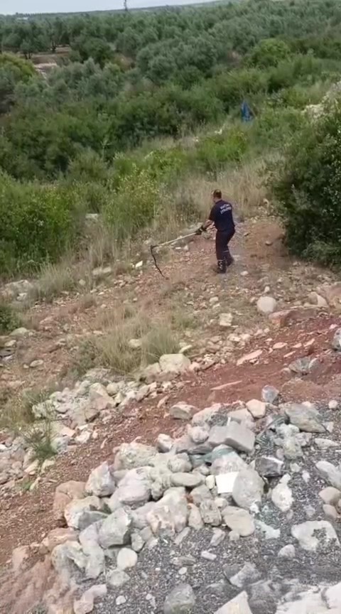Kazan dairesinde yılan paniği
