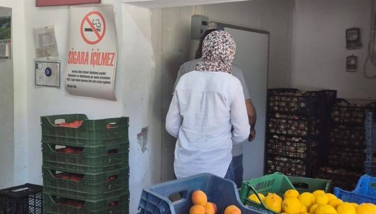 S&ouml;ke&rsquo;de riske dayalı gıda işletmeleri denetlendi
