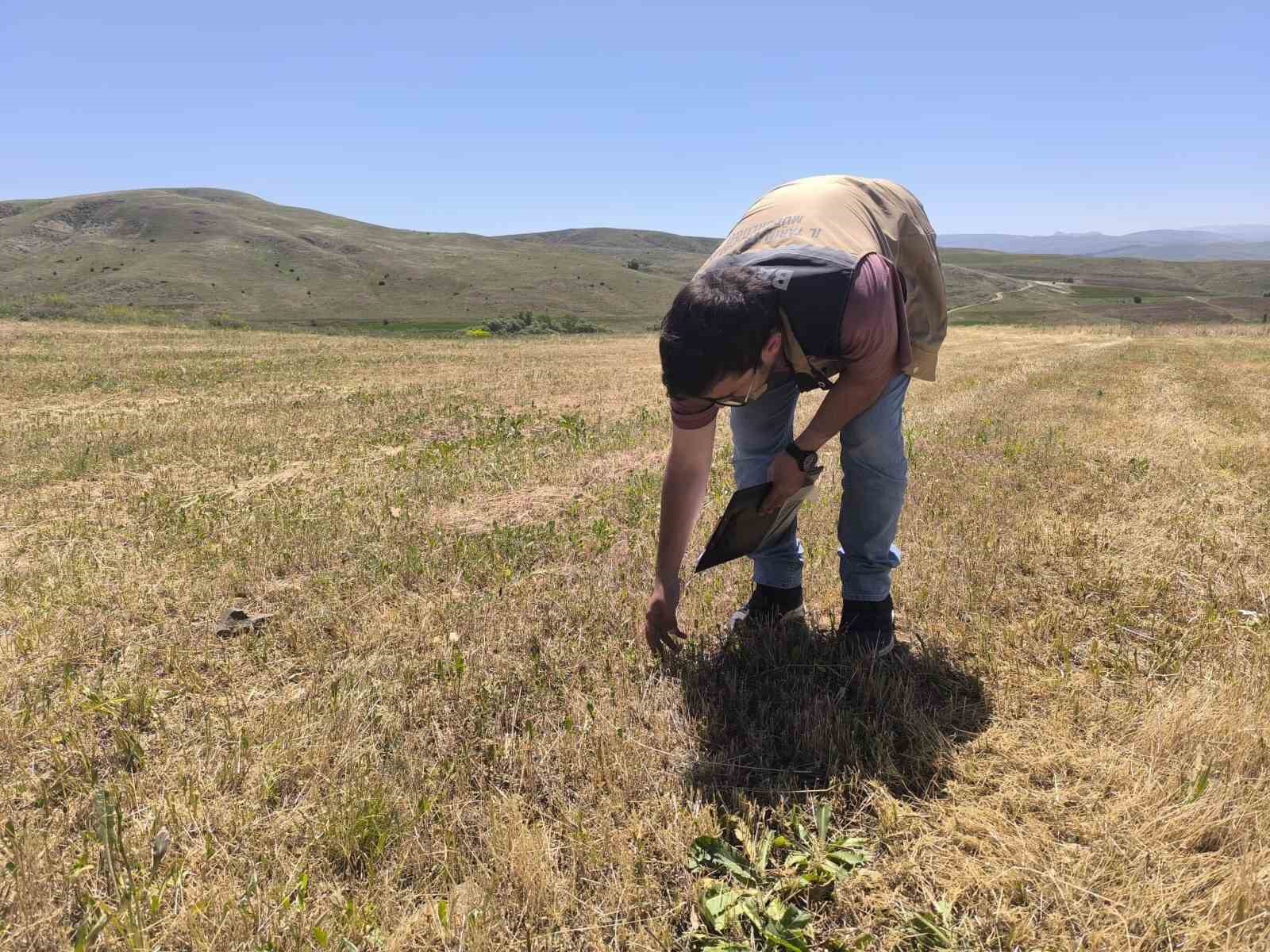 Bayburt&rsquo;ta 4 k&ouml;yde yem bitkisi tarla kontrolleri tamamlandı
